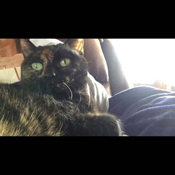 Meet your Posher, Dana - Picture 2 of 11